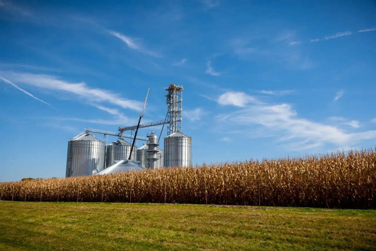 2025年四川软件开发行业技术趋势及企业选型指南